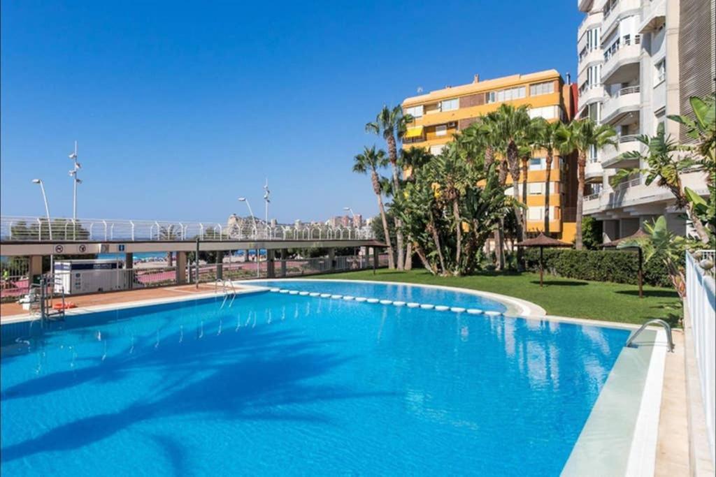 Apartament Vip Olivar Poniente *